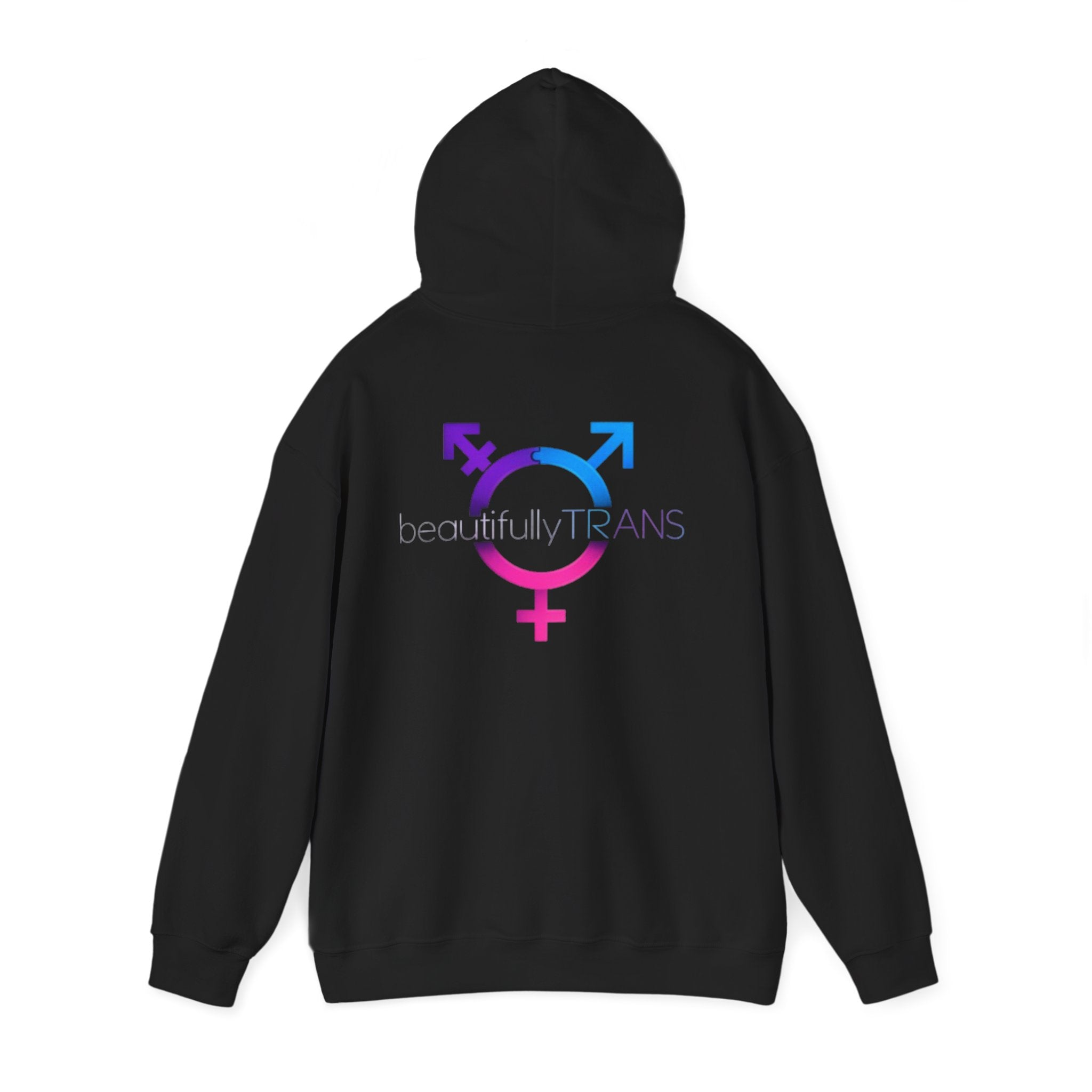 Beautifully Trans- Transgender Pride Symbol Pullover