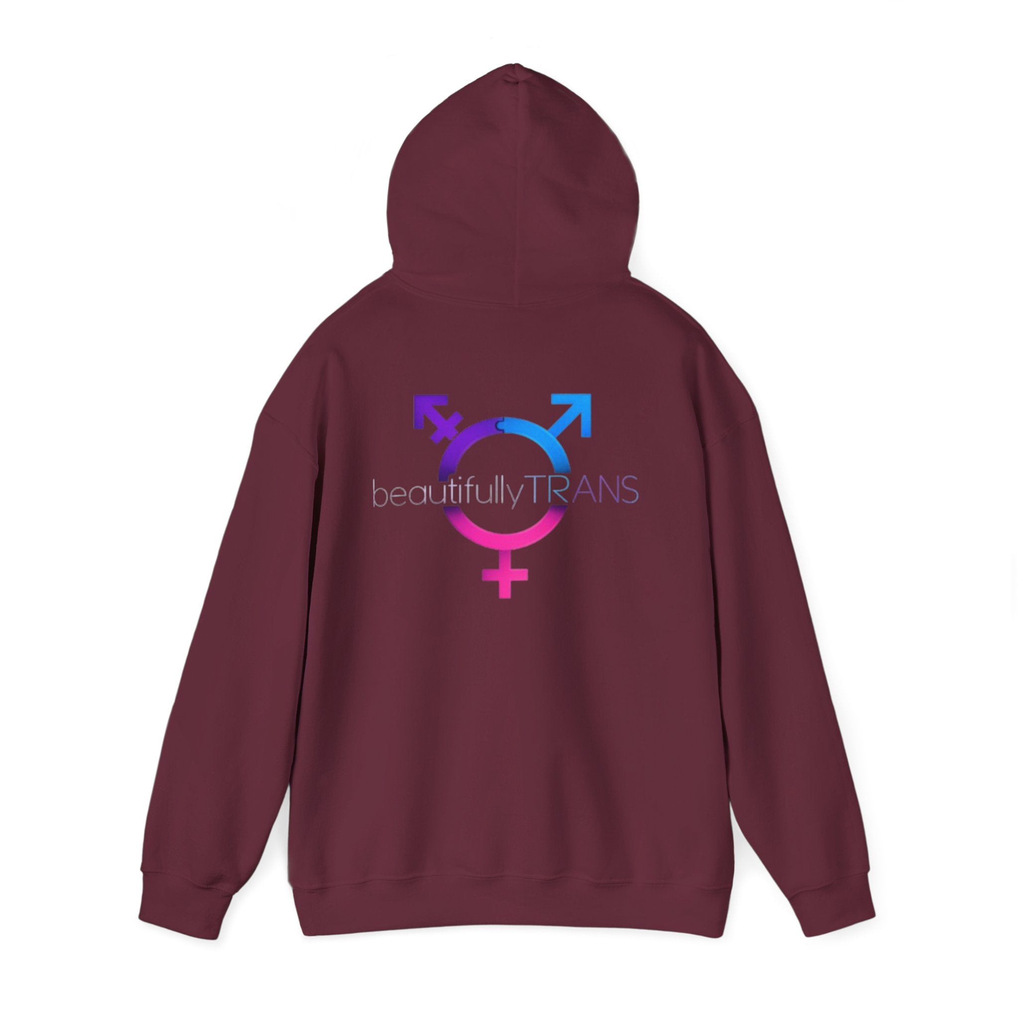 Beautifully Trans- Transgender Pride Symbol Pullover