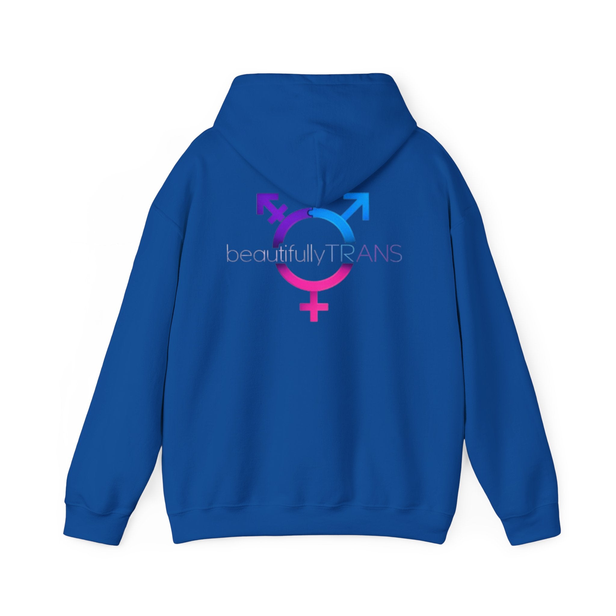 Beautifully Trans- Transgender Pride Symbol Pullover