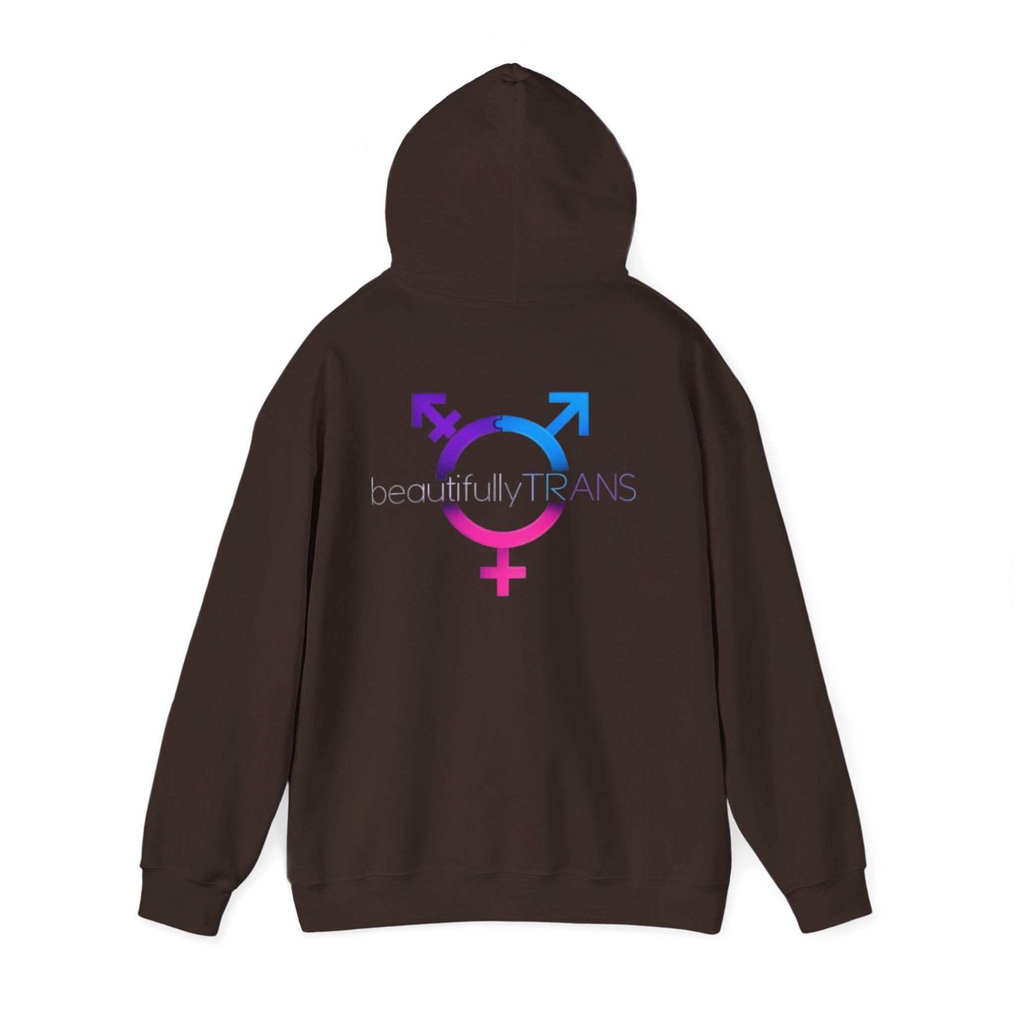 Beautifully Trans- Transgender Pride Symbol Pullover