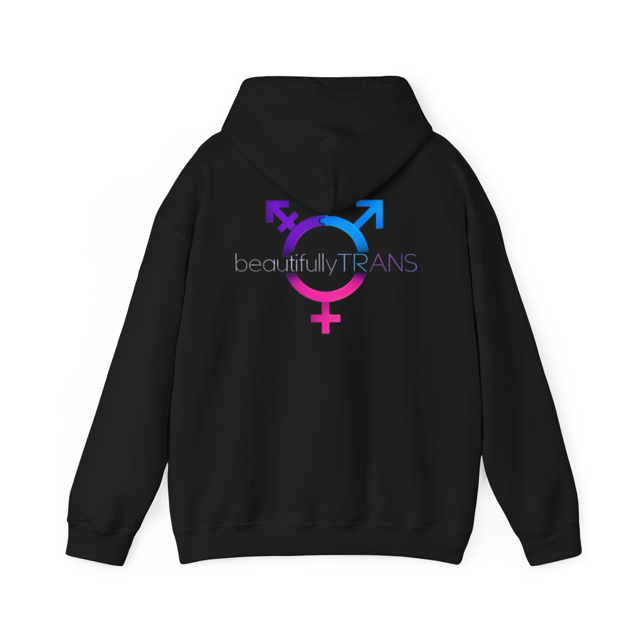 Beautifully Trans- Transgender Pride Symbol Pullover