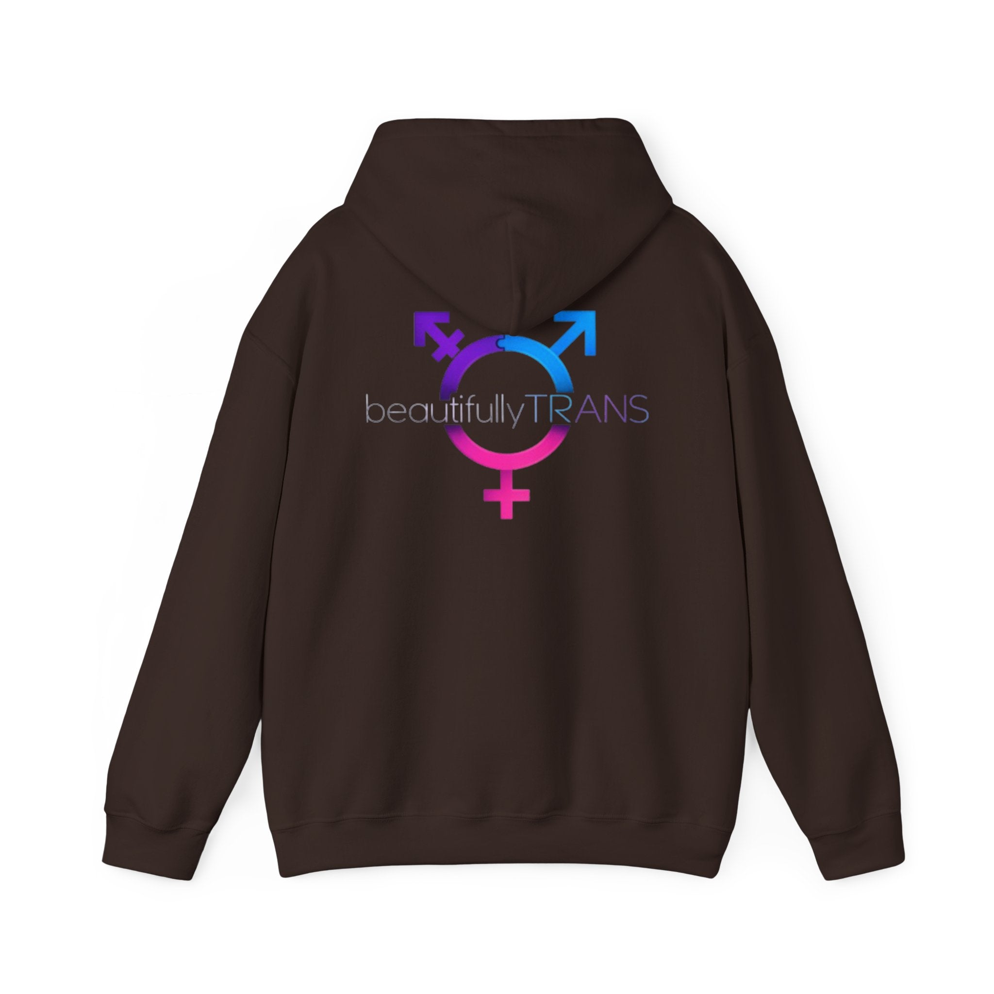 Beautifully Trans- Transgender Pride Symbol Pullover
