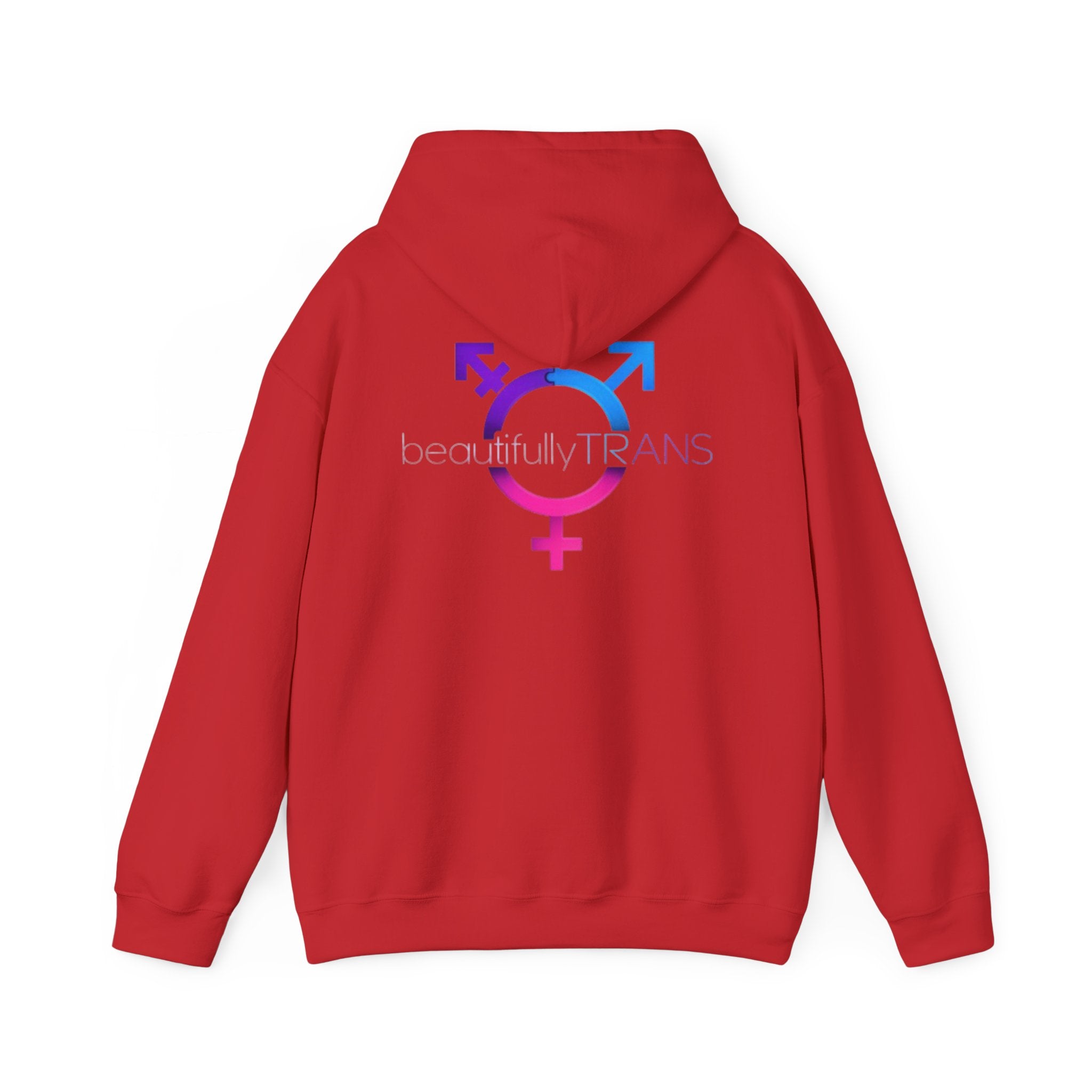 Beautifully Trans- Transgender Pride Symbol Pullover