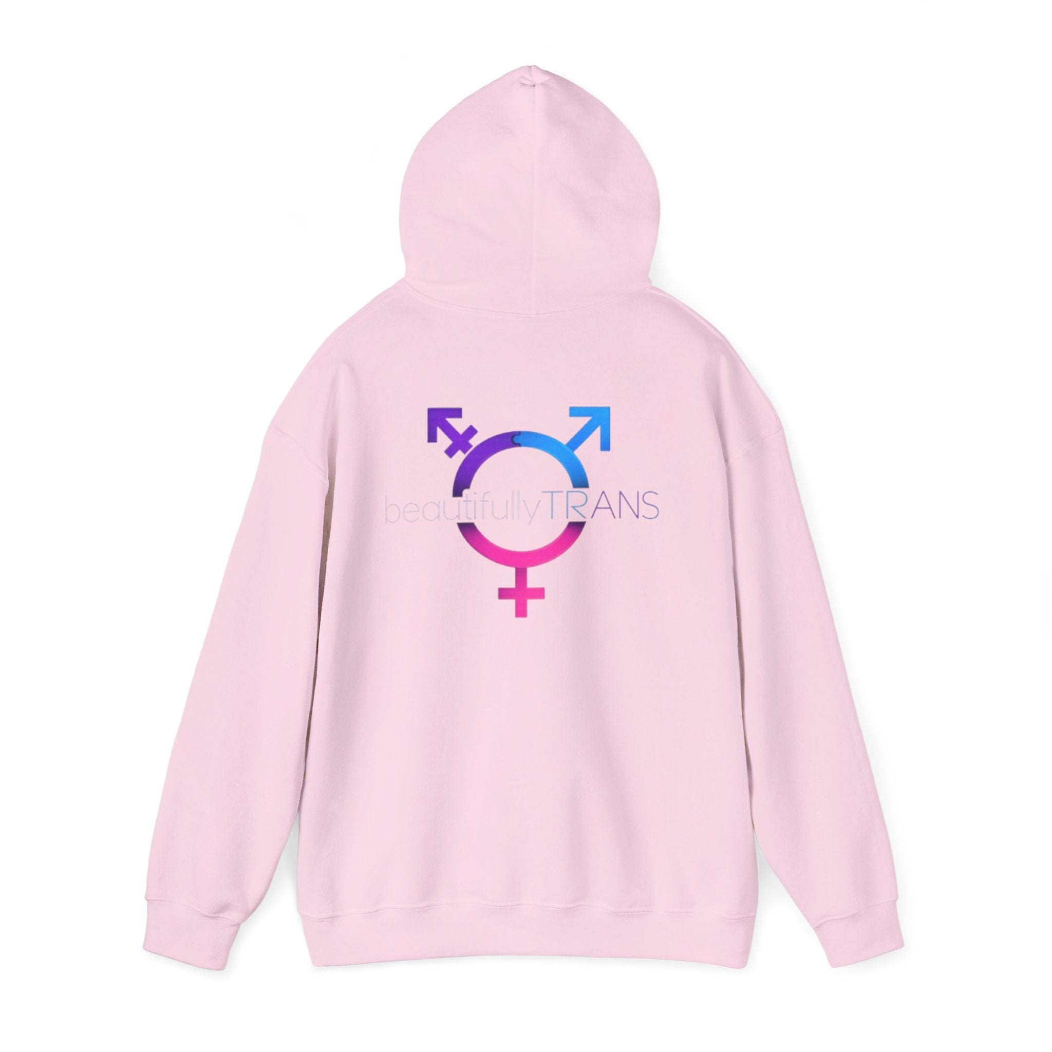 Beautifully Trans- Transgender Pride Symbol Pullover