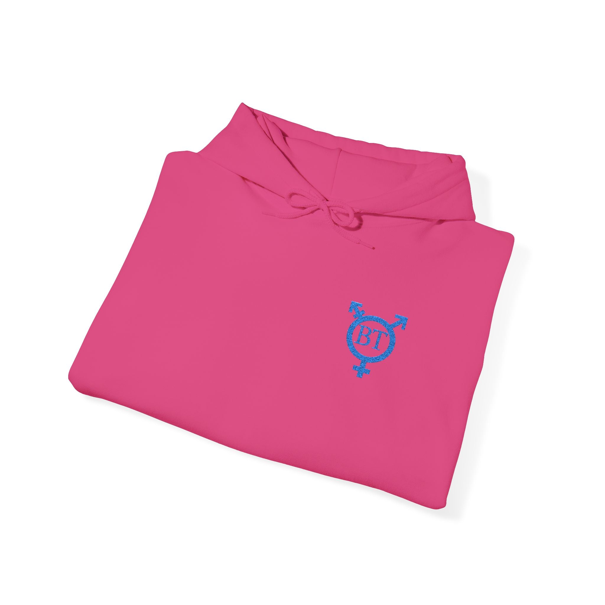 Beautifully Trans Logo Hooded Sweatshirt
