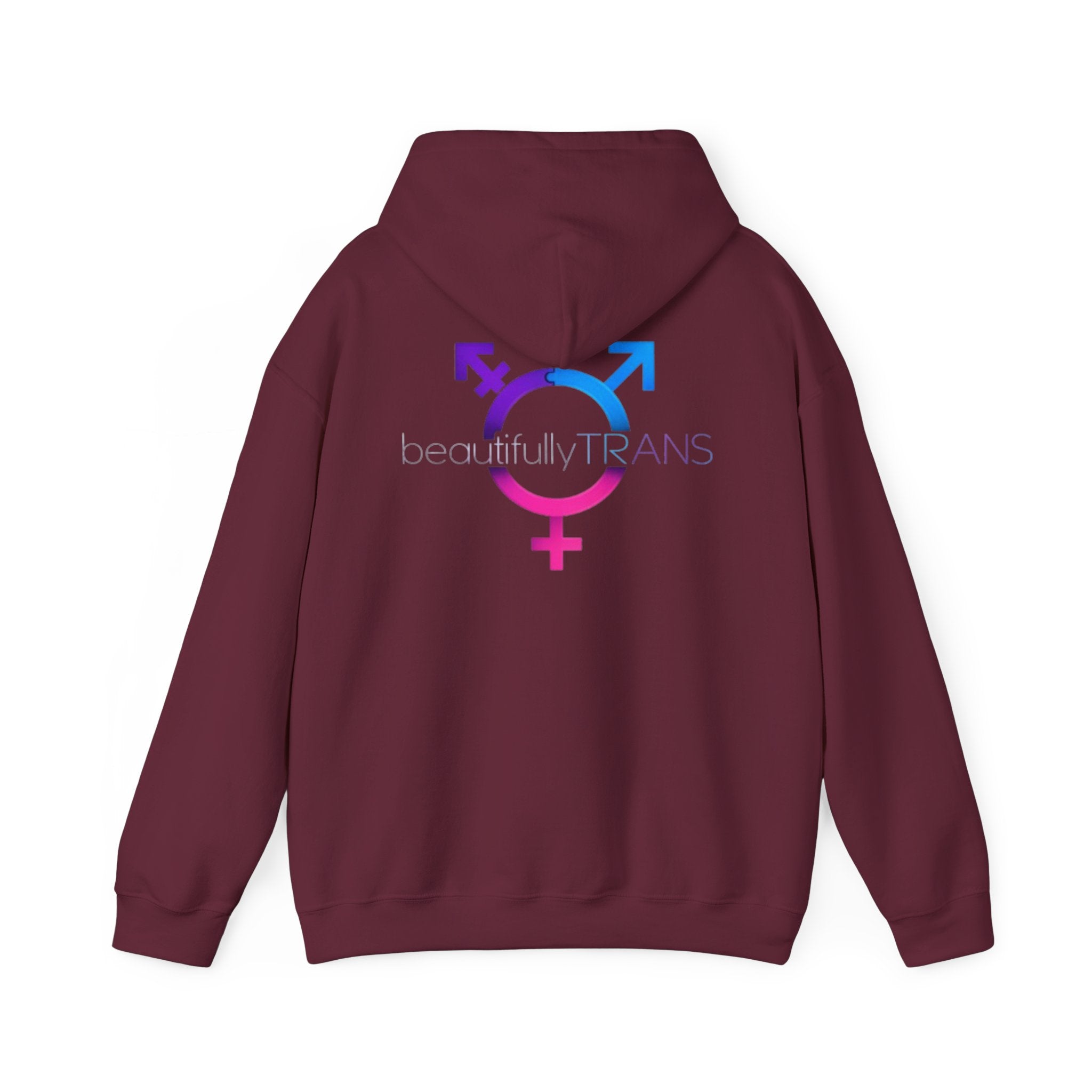 Beautifully Trans- Transgender Pride Symbol Pullover