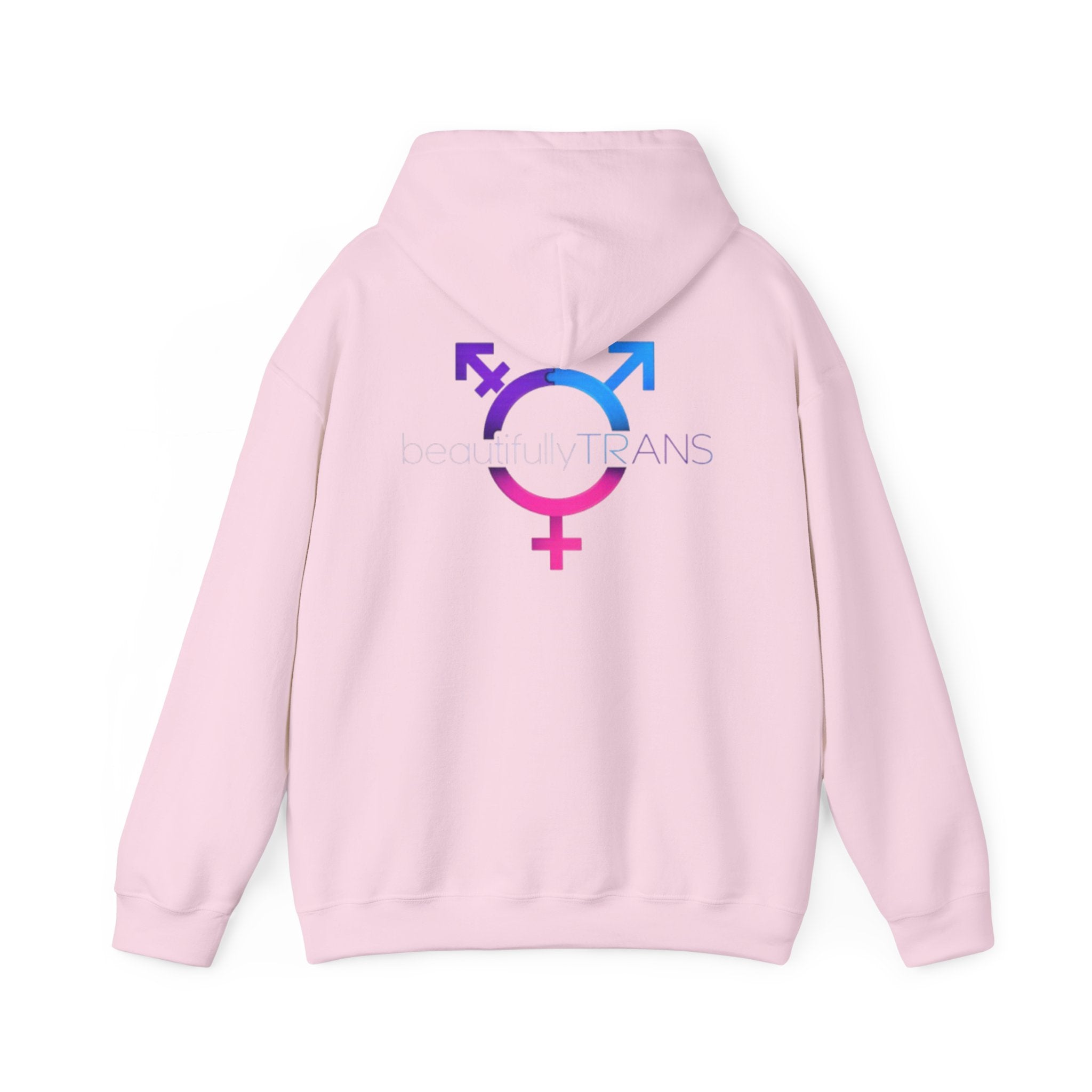 Beautifully Trans- Transgender Pride Symbol Pullover