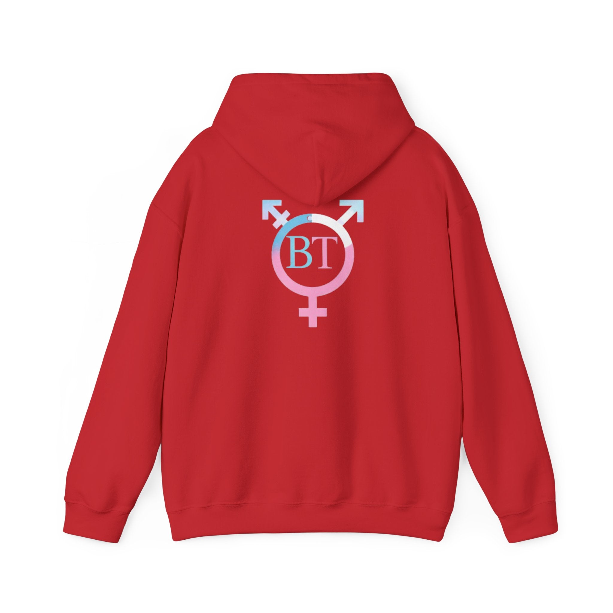 Beautifully Trans— "It Takes Courage to Be Me" Pullover
