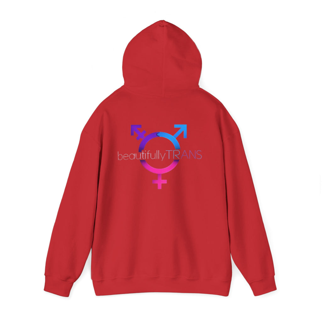 Beautifully Trans- Transgender Pride Symbol Pullover