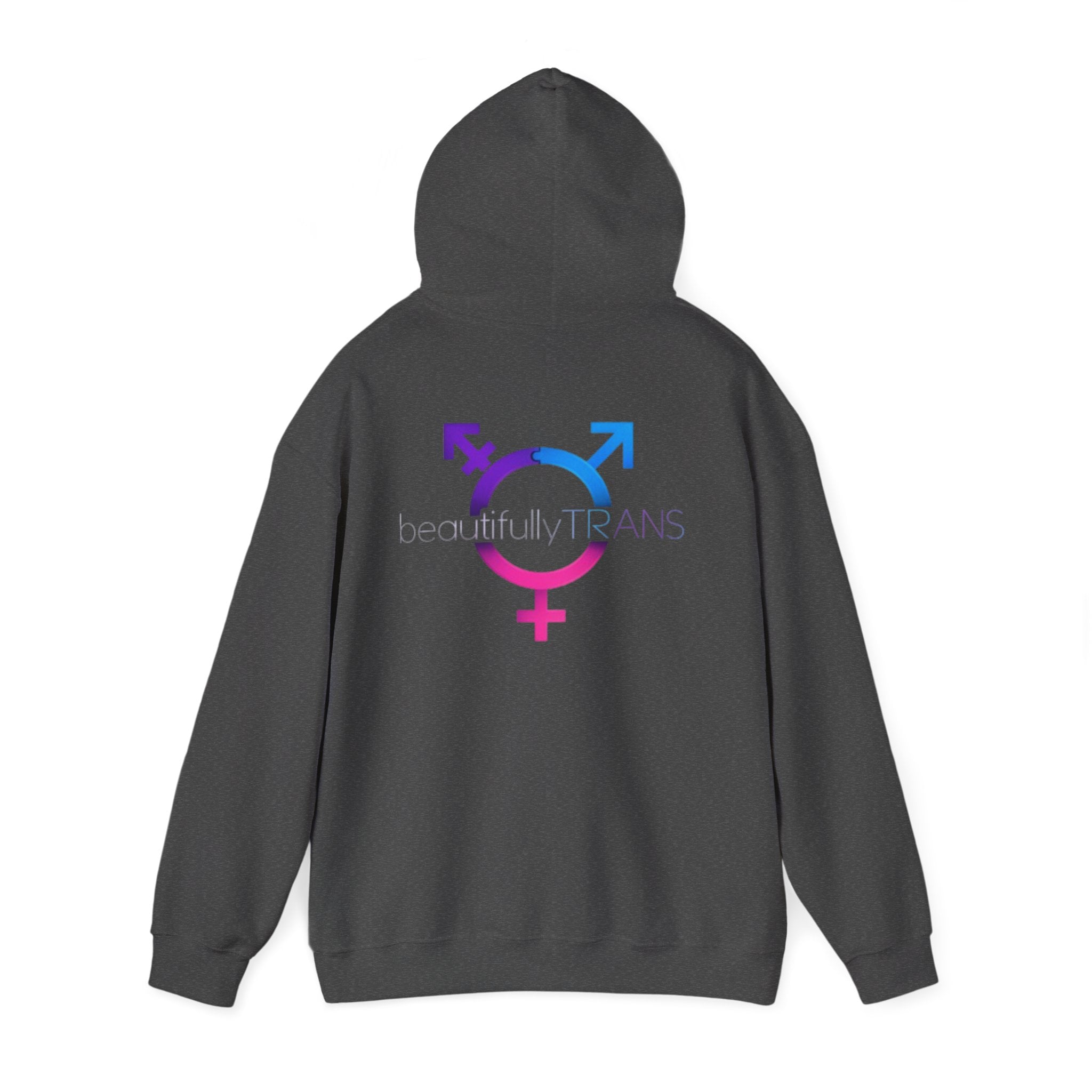 Beautifully Trans- Transgender Pride Symbol Pullover